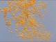 Action de Geenpeace à Tihange